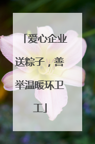 爱心企业送粽子，善举温暖环卫工